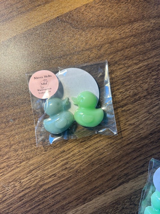 Watermelon Lemonade Sample